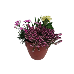 Composition extérieure...