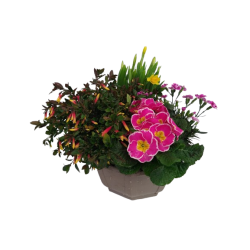 Composition extérieure...