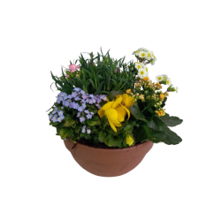 Composition extérieure...