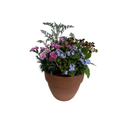 Composition extérieure...