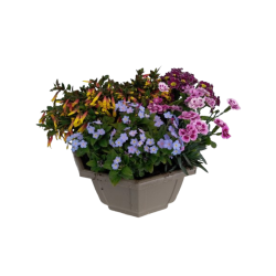 Composition extérieure 27...