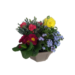 Composition extérieure 27...