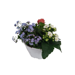 Composition extérieure 18...