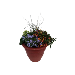 Composition extérieure...