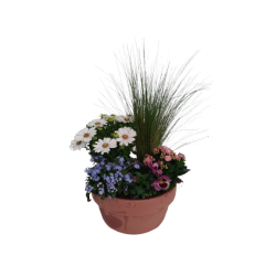 Composition extérieure...