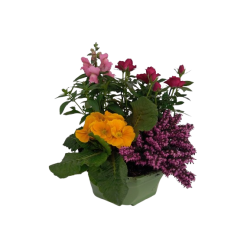 Composition extérieure 23...