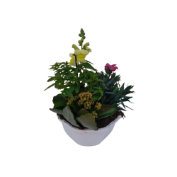 Composition extérieure 18...