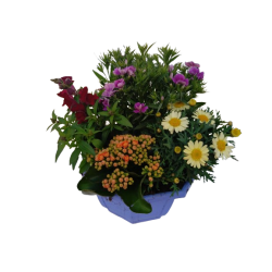 Composition extérieure 27...