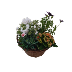 Composition extérieur...